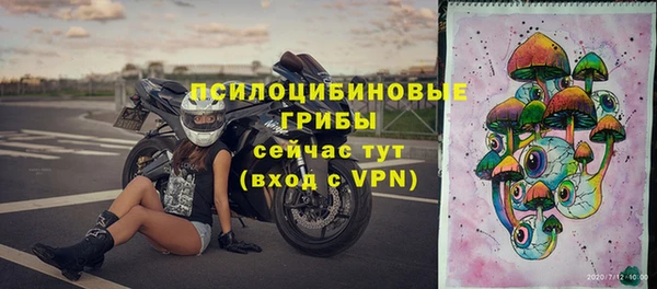 спайс Алзамай