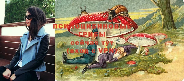 a pvp Алексин