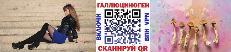 Псилоцибиновые грибы Psilocybe Урюпинск